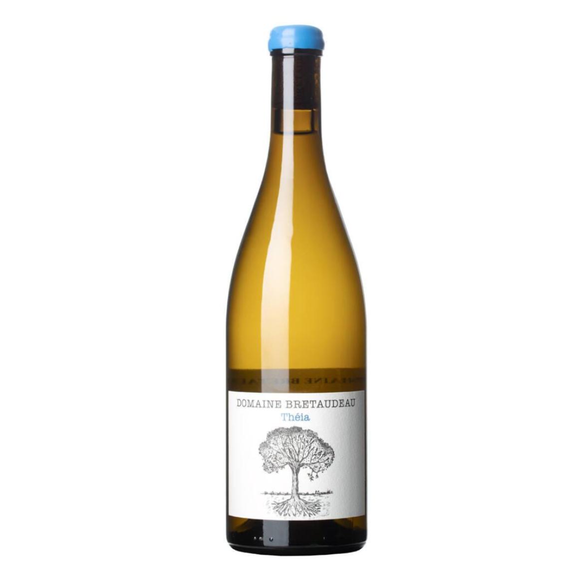 Domaine de BELLEVUE (Jerome Bretaudeau) Muscadet Sevre-et-Maine "Theia" 2025