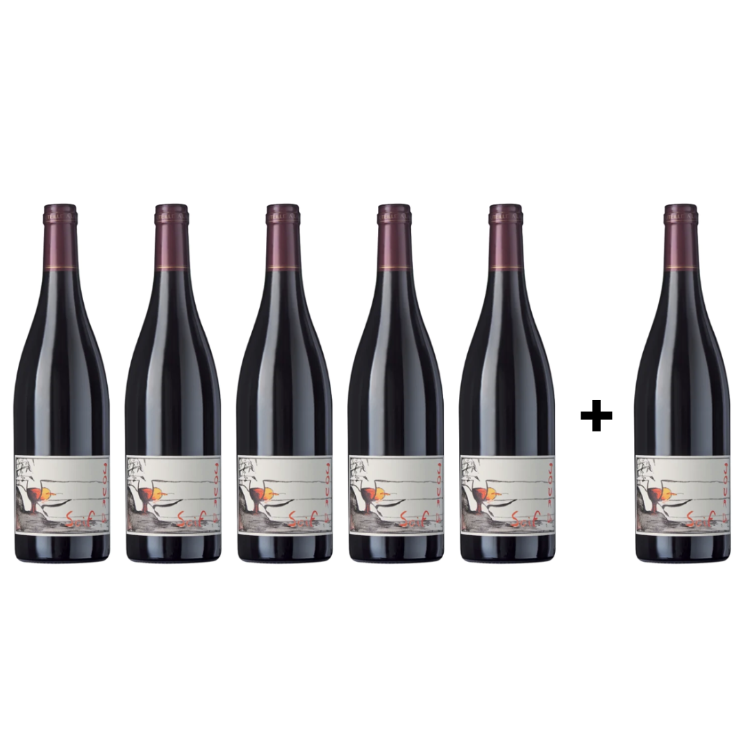 Domaine DU BEL AIR Bourgueil "Jour de Soif" 2020 - 6x75cl