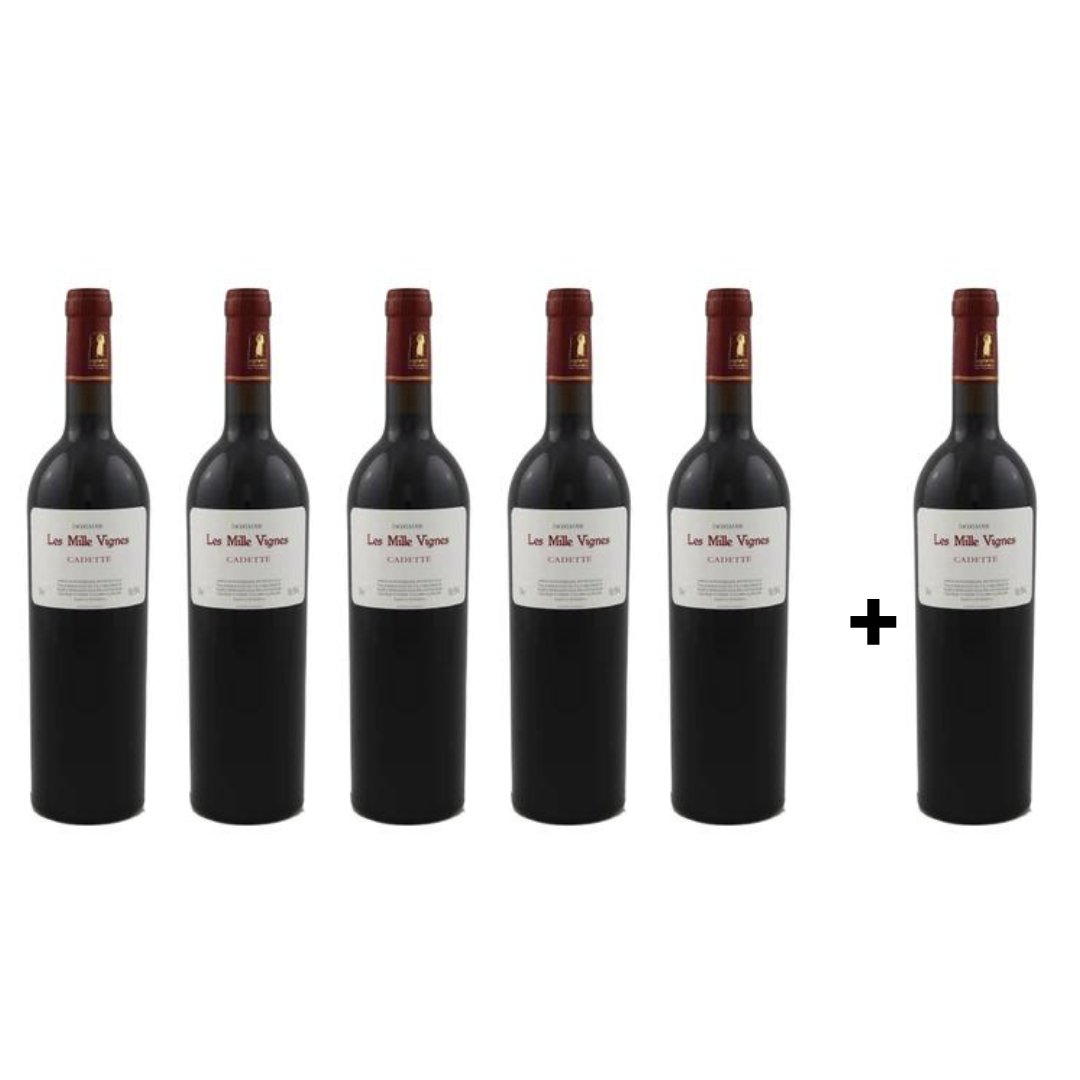 Domaine LES MILLE VIGNES Fitou "Cadette" 2018 - 6x75cl